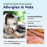Vetnique Dermabliss Anti Itch Spray for Dogs & Cats, Hydrocortisone for Allergies, Fragrance Free, 4oz