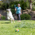 (2.5 Inch Pack 3, 20-60 lbs Chuckit! Limited Edition EcoFetch Ball Dog Toy, Medium Diameter) of for Breeds