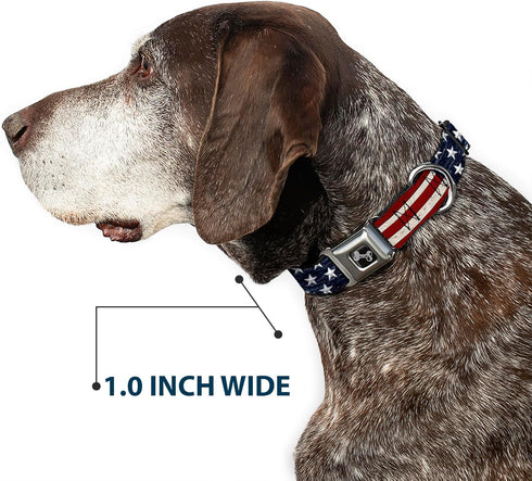 Buckle-Down Americana Rustic Stars & Stripes Seatbelt Buckle Dog Collar - 1" Wide, Fits 15-26" Neck