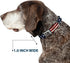 Buckle-Down Americana Rustic Stars & Stripes Seatbelt Buckle Dog Collar - 1" Wide, Fits 15-26" Neck