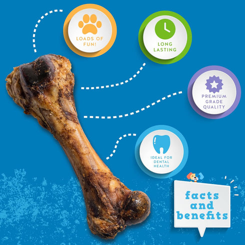 8" 4 Pack Jack&Pup Pork Femur Bones for Dogs, Big Bones for Large Dogs, Gourmet Ham Beef Bones for Agressive Chewers