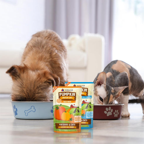 Weruva Pumpkin Patch Up! Variety Pack for Dogs & Cats, 1.05oz Pouch, Pack of 12