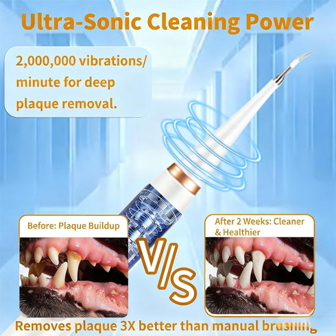 5 IPX6 Dog Tartar Remover for Teeth, Dental Tools to Remove Plaque and Tartar, Pet Teeth Cleaning Kit with LED Light