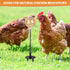 moyardow Entertained(2 Pack) Peck Toy, Interactive Slow Feed Release Toy for Your Flock, Chicken Slow Feeder Boredom