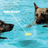 Skip NN' Fetch Small/Medium Floating Dog Toys Qty 2 | Fun for Swimming Pool, Lake, Beach, and Land | Perfect for