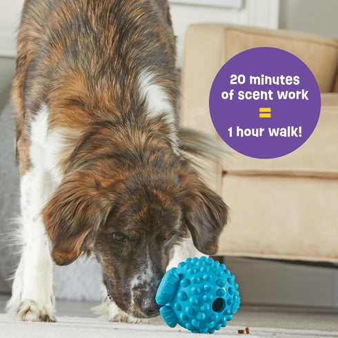 Brightkins Tough & Tumble Treat Dispenser Large Pufferfish - Interactive Dog Puzzle Toy for All Breeds