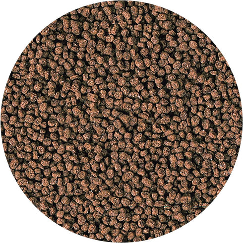 Hikari Marine-S Pellets Fish Food for Smaller Marine Fish