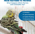 SunGrow Medium Chewing Parrot Toy, Colorful Chew Toy for Cockatoos, African Grey, Macaws, and Amazon Parrots