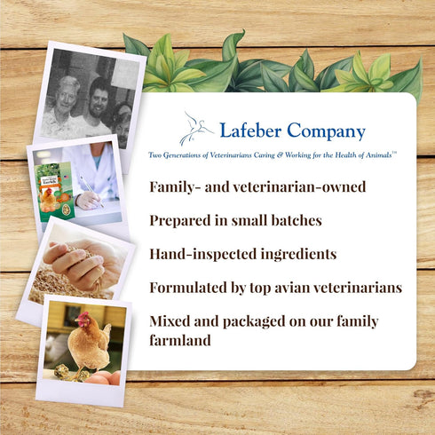 (10oz Pack 2) LAFEBER'S Booster Berries Enrich Chicken Supplement, for Chickens