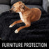 LOCHAS Luxury Fluffy Dog Blanket, Extra Soft and Warm Sherpa Fleece Pet Blankets for Dogs Cats, Plush Furry Faux Fur Puppy Throw Cover, 30''x40'' Black by LOCHAS