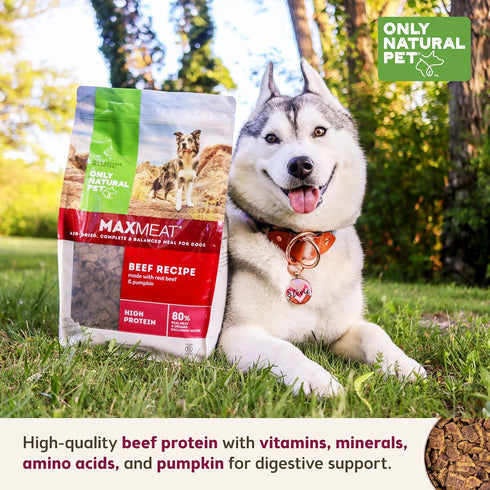 Only Natural Pet MaxMeat Holistic Air Dried Dry Dog Food, All Natural, High Protein, Grain Free, Beef with Pumpkin &
