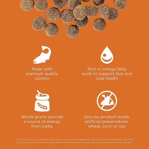 Go! Solutions Skin + Coat Care - Dry Dog Food - 12 lb - Salmon Recipe with Grains for All Life Stages