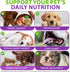 CFXYHNOX 15 1 B1, Dog Multivitamin Drops, in Multivitamin Liquid for Dog with Vitamin C, Vitamin D & Dog Health