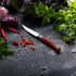 Opinel Effile Slimline Series Folding Fillet Knife with Virobloc Locking Collar and Sustainably Harvested Wood Handles