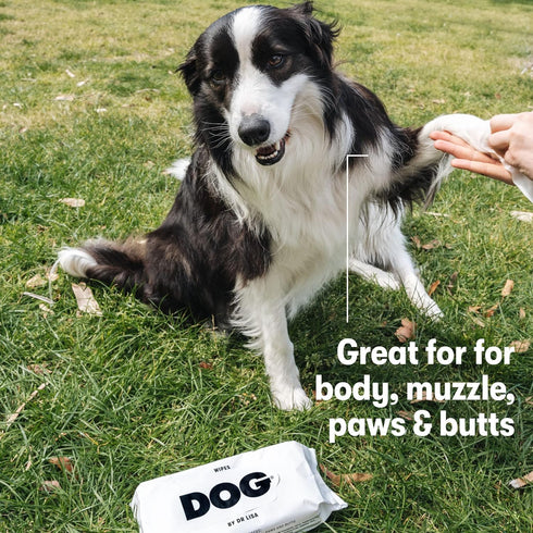 DOG by Dr Lisa Plant-Based Bathing Wipes for Dogs, 100% Compostable Bamboo, Vet-Created, Vegan, Non-Toxic, 240 Count
