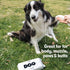 DOG by Dr Lisa Plant-Based Bathing Wipes for Dogs, 100% Compostable Bamboo, Vet-Created, Vegan, Non-Toxic, 240 Count