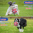Diman 9 Nylon Straps Dog Soccer Ball, Interactive Tug of War Toy for Medium & Large Dogs, 7 Inch Birthday Gift