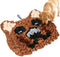 FVUUKOSIIT Snuffle Mat for Dogs, Interactive Dog Toys, Puppy Slow Feeder Mat, Mental