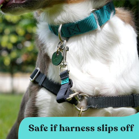 Gentle Creatures Adjustable Backup Clip for Dog Harness, Prong, Pinch Collars, Double Ended Safety Clip