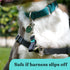 Gentle Creatures Adjustable Backup Clip for Dog Harness, Prong, Pinch Collars, Double Ended Safety Clip