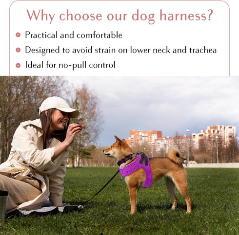 Comfort Fit Step-in Dog & Puppy Harness - Adjustable Soft Padded All Weather Vest for Small to Medium Dogs