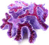Aquarium Coral Ornaments Decor, Fish Tank Plants Decoration for Aquarium Landscape, Purple