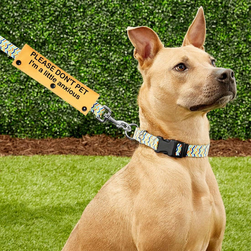 Please Don’t Pet I'm a Little Anxious Dog Leash Wrap - Anxious Dogs Leash Sleeve (Little Anxious Sleeve)