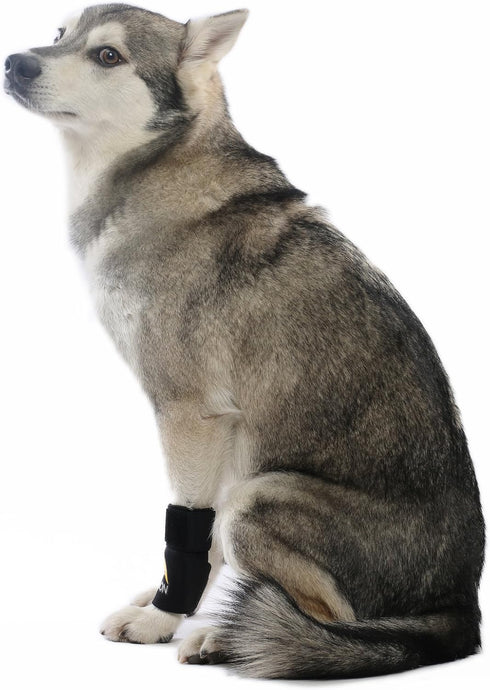 AGON Dog Canine Front Leg Brace, Compression Wraps for Wounds, Small/Medium, Helps with Arthritis