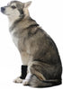 AGON Dog Canine Front Leg Brace, Compression Wraps for Wounds, Small/Medium, Helps with Arthritis