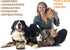 32 oz, Elbows, Organic Coconut Oil for Dogs & Cats Skin and Coat, Natural Treatment for Itchy Skin, Dry Paws & Nose