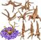 8 Pack Natural Driftwood for Aquarium | Spider Wood Freshwater Fish Tank Reptile Driftwood Branch