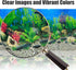 Aquatic Plant Aquarium Background Sticker – Coral HD Fish Backgrounds for Aquariums, 2 Sided 16"x 33" Fish Tank