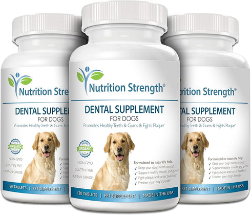 Daily Dental Care Supplement for Dogs with Organic Kelp, Strawberry Leaf, Pumpkin Seed, 120 Chewable Tablets