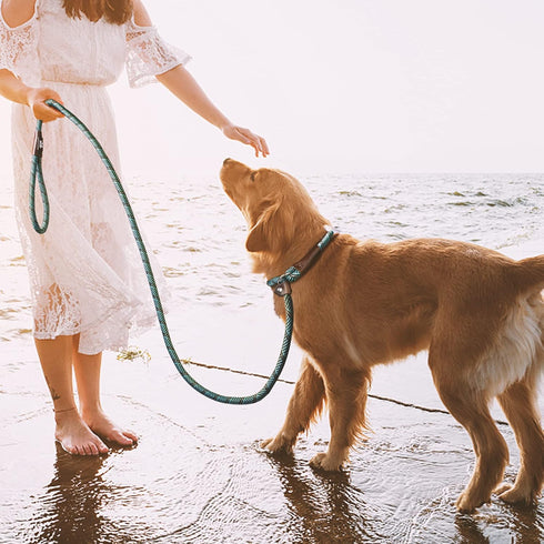TwoEar Dog Leash Slip Lead - 1/2" x 6FT Reflective Durable Training Leash for Medium & Large Dogs, Blue