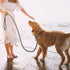 TwoEar Dog Leash Slip Lead - 1/2" x 6FT Reflective Durable Training Leash for Medium & Large Dogs, Blue