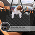 3, 600D Hammock, Back Seat Pet Cover for Dogs with Mesh Window - Tesla Model SUV, Sedan, Waterproof Heavy Durable