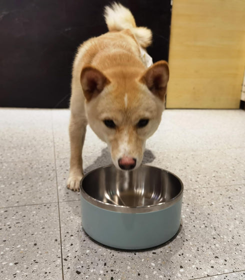 Stainless Steel Dog Bowls for Small Dogs, 40 Ounces/5 Cup - Double Wall Weighted Dish with Non Slip Silicone Base