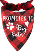 Promoted to Big Sister Red Plaid Dog Bandana, Gender Reveal Photo Prop for Pet Scarves