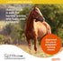 Quest Plus Gel Moxidectin/Praziquantel Horse Dewormer - 0.5oz Sure-Dial Syringe for Horses