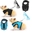 SATINIOR 2 Pieces Guinea Pig Clothes, Soft Mesh Harness Leash Vest Set with Bell for Small Animals (Blue, Black, S)