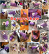 Idepet Pet Dog Knitwear Sweater, Soft Fleece Coat for Small, Medium, Large Dogs, Purple (L)