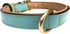 Medium Size Leather Dog Collar - Turquoise with Beige Padding
