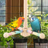 BOXOB 360 Bird Stand Perch Toy, Wooden Degree Free Rotation Interactive Spinning Parakeet Toys Practical Parrots Cages