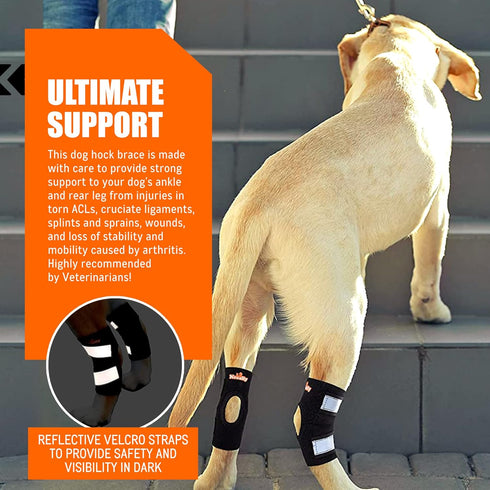 NeoAlly Cat and Dog Ankle Brace Pair, Canine Rear Leg Hock Support, Safety Reflective Straps, S Pair