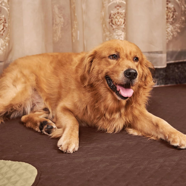 NICETOWN Dog Bed Cover for Pets Blankets Rug Pads for Couch Protection