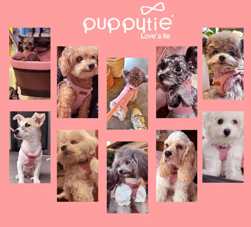 Puppytie No Pull XXS Puppy Harness with Multifunction Leash, Soft Adjustable No Choke Escape Proof Vest, Pink, XXS
