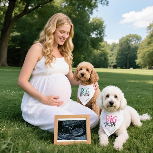 Realeaf Big Brother Big Sister Dog Bandanas Pet Scarf for Medium and Large Dogs New Baby Announcement Pet Accessories