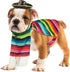 Skeleteen Mexican Serape Dog Costume, Cinco de Mayo Poncho and Sombrero Costumes for Pets (Size L) for Small Breeds