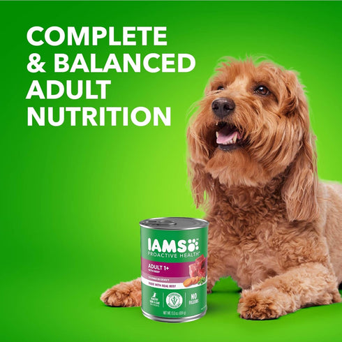 13 oz., Pack 24 Iams Proactive Health Wet Dog Food, Chicken Chunks in Gravy and Beef Chunks in Gravy