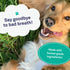 Petpost Fresh Breath Foam for Dogs, Mint & Apple Flavored Dental Solution That Eliminates Bad Breath, Natural Tooth